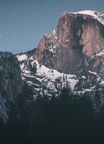 picture of a forest below a snowy mountain